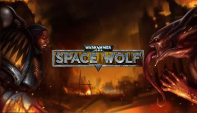 Warhammer 40000: Space wolf